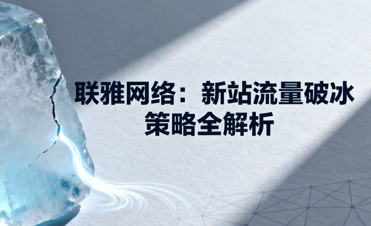 “联雅网络：新站流量破冰策略全解析”